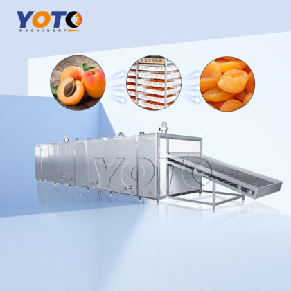 Apricot Mesh Belt Dryer