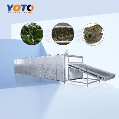 Kelp Mesh Belt Dryer