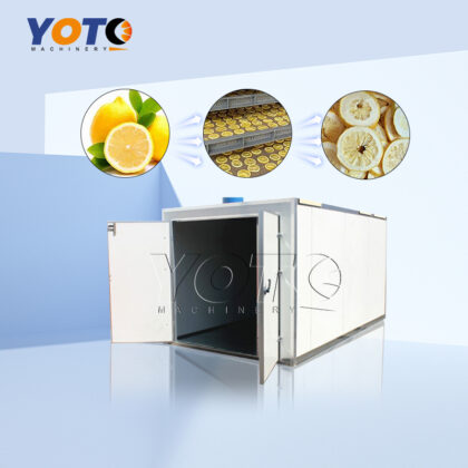 Lemon Drying Oven