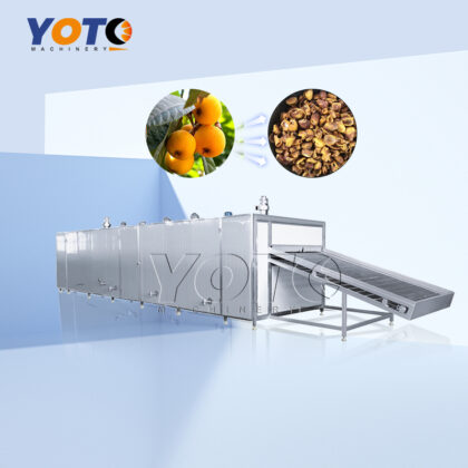 Loquat Mesh Belt Dryer