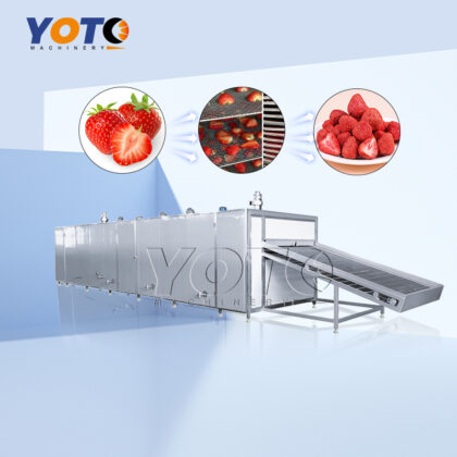 Strawverry Drying Oven