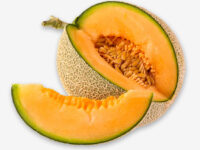 Cantaloupe Drying Oven - Fruit Drying Machine - 1