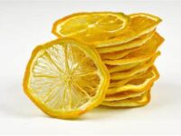 Lemon Drying Oven - Fruit Drying Machine - 3