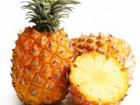 Pineapple Drying Oven - Fruit Drying Machine - 1